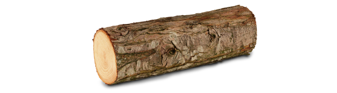 tree log sumter sc tree-log-sumter-sc