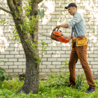 sumter-tree-services-tree-trimming